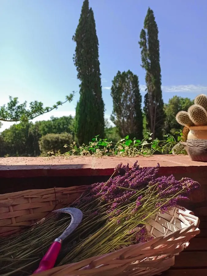 Agriturismo Podere Le Palaie Monterotondo  Monterotondo (Tuscany)