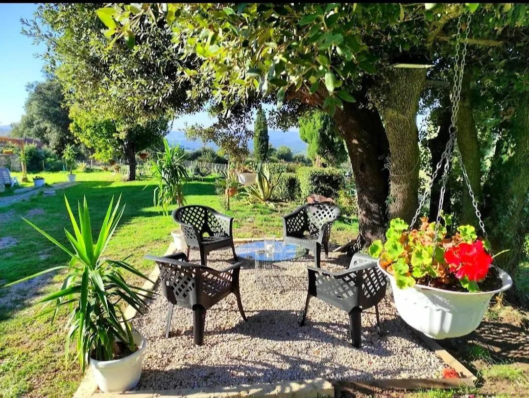 Agriturismo Podere Le Palaie Monterotondo  Apartament Monterotondo (Tuscany)