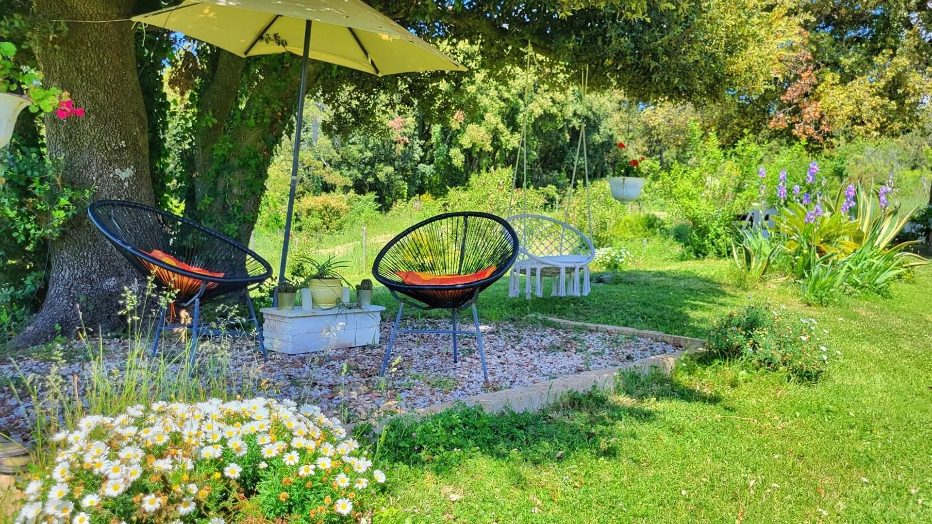 Apartament Agriturismo Podere Le Palaie Monterotondo